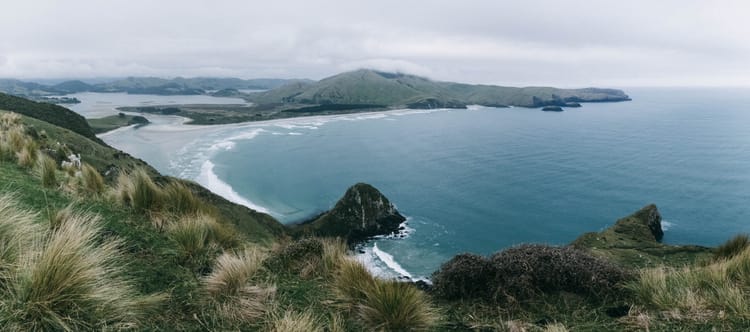 postcards from otago and the catlins