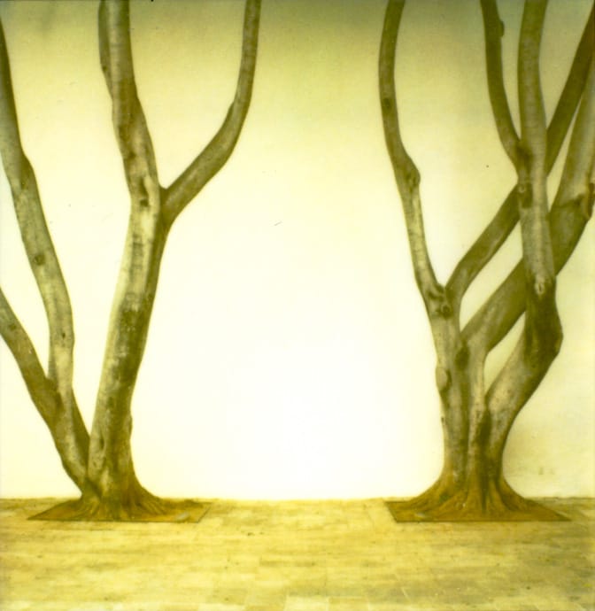 vintage . contemporary