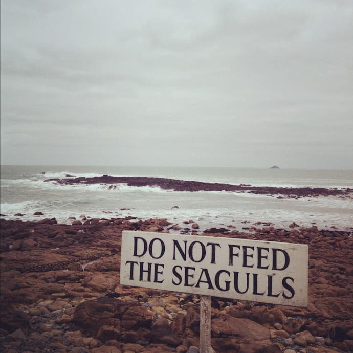 we are visual creatures