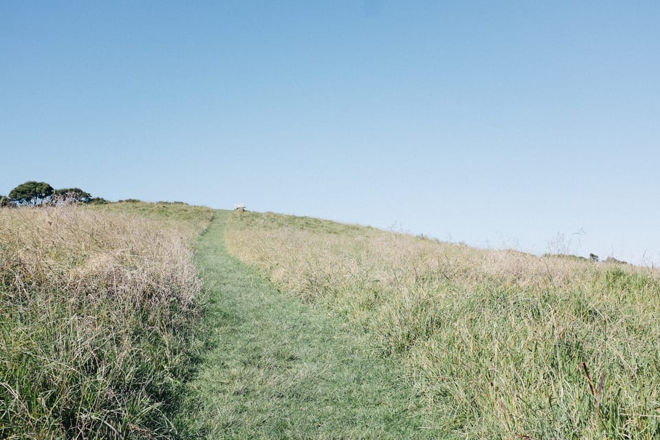 Pathway through the grass in Te Toki reserve by leonie wise