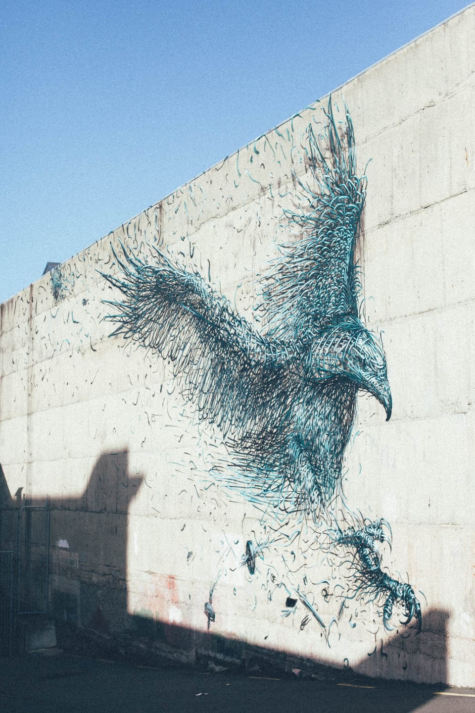 postcards from dunedin - street art edition