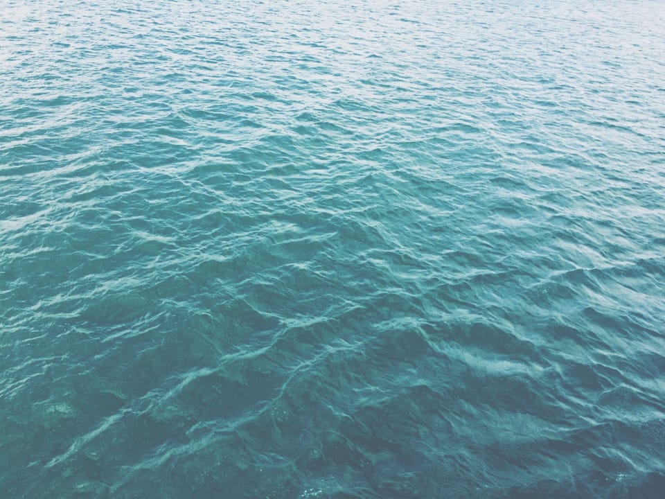 the exquisite ordinary • ﻿fourteen