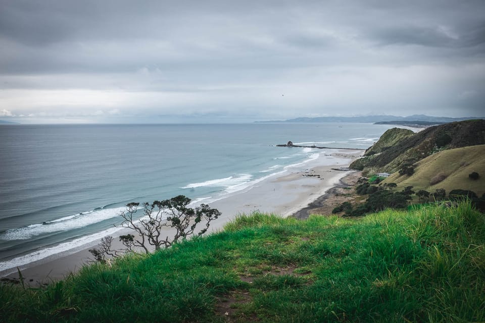 postcards from the mangawhai heads clifftop walk