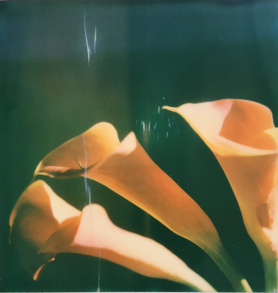 meditations on light
