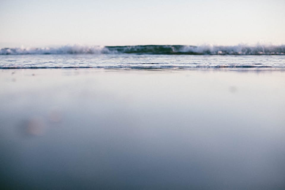 early morning light at onetangi beach, waiheke island (c) leonie wise