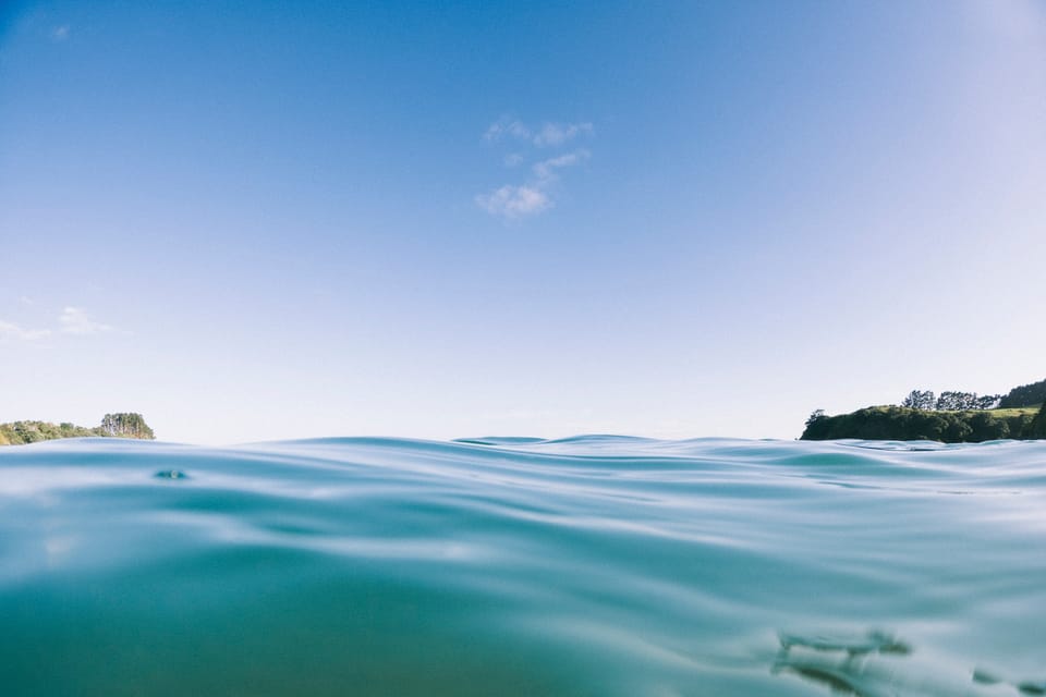 morning swims